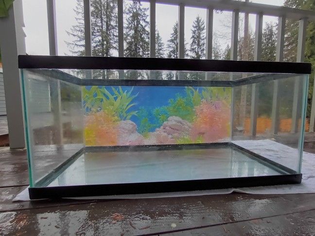 Fish Tank With Lid 