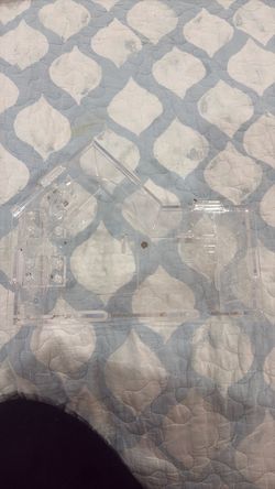 Jumping spider enclosure