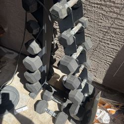 Weights 5-30 Lbs Dumbbell 