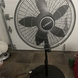 Fan 