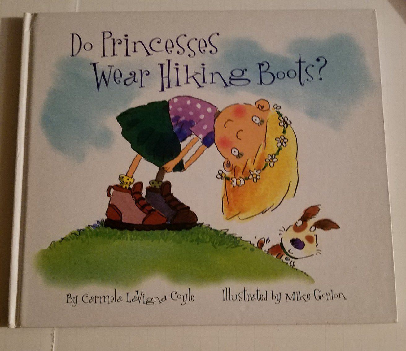 Do Princesses wear hiking boots book