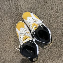 Jordan 6s Size 10