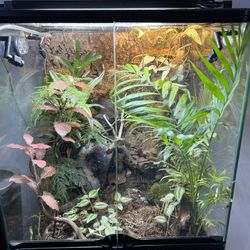 Exo Terrarium Enclosure 