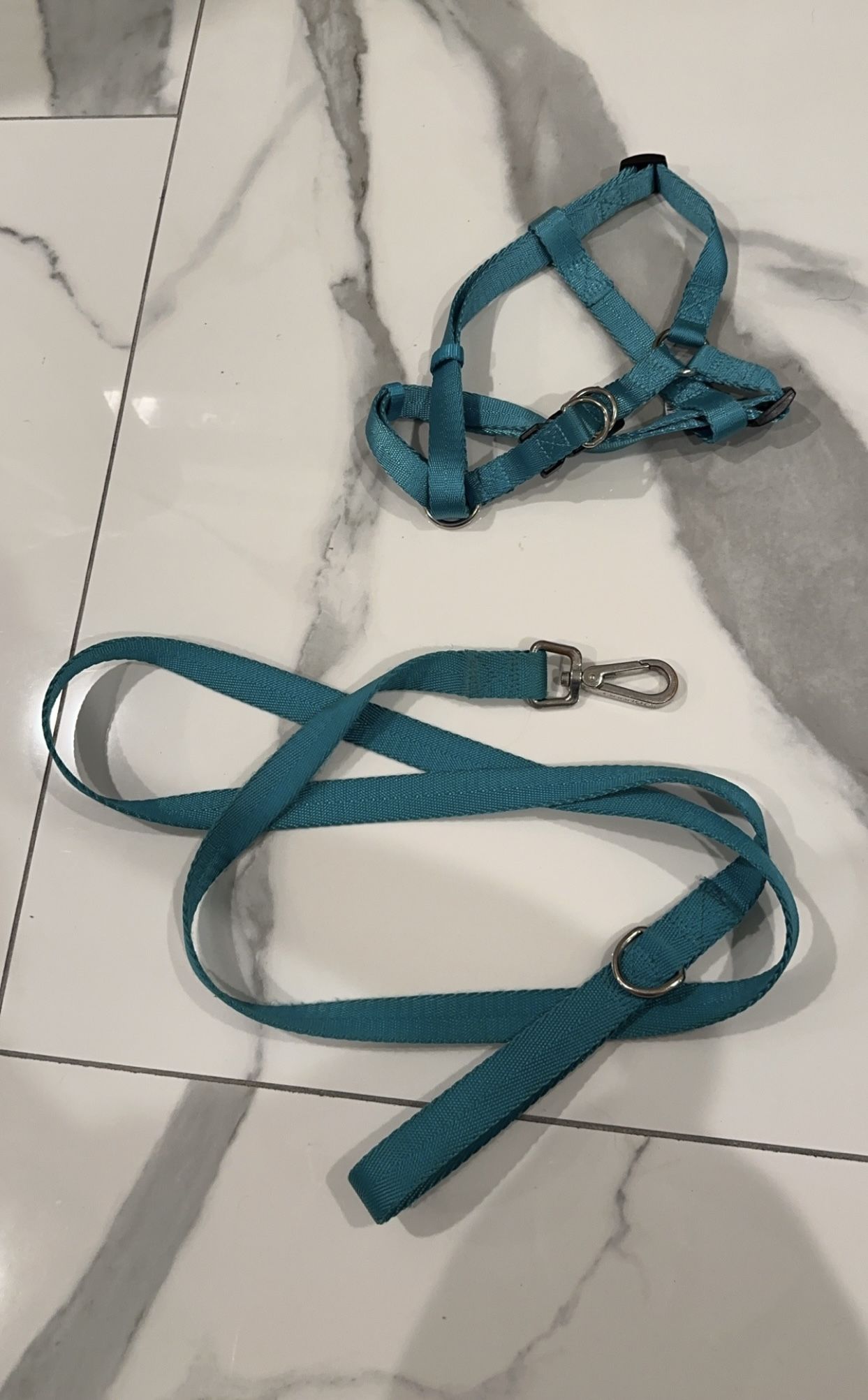 Dog Harness And Leash (SET)
