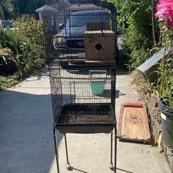 Bird Cage 