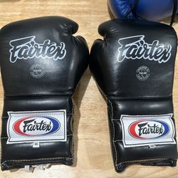 Fairtex BGL7 16oz Gloves