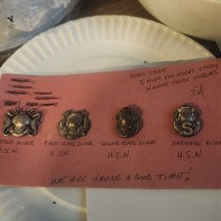 Navy Diving pins