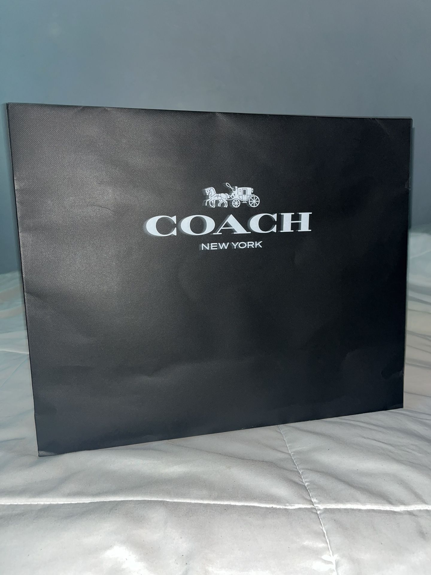 Coach Swinger 20 Glovetanned Leather Shoulder Bag