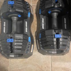 Nordic Track Speed Weights 