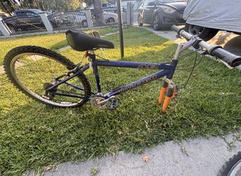 Raleigh mountain bike