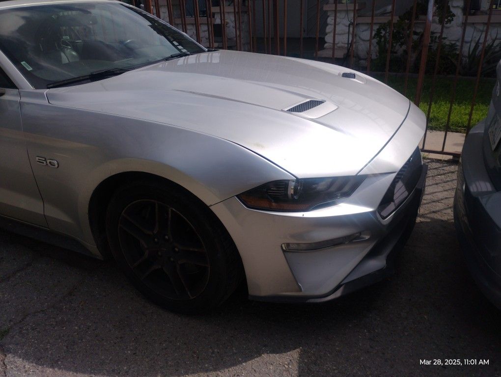 2019 Mustang
