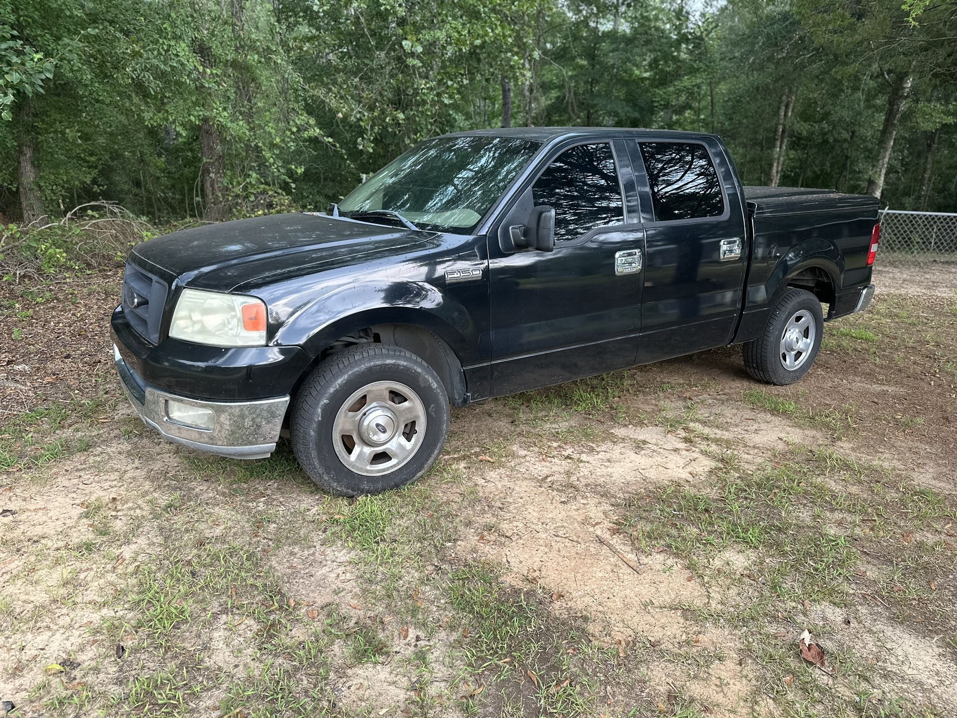 2004 Ford F-150