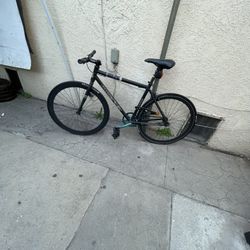 Fixie Bike