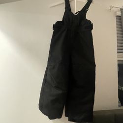 Cat &  Jack Snow Bib (3t)