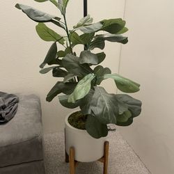 Fake / artificial House Plant