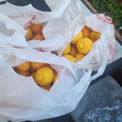 Meyer Lemons !!