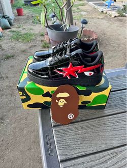 Black Bapestas shark