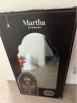 VIRAL HTF MARTHA STEWART LIGHT UP HARRY POTTER MIRROR