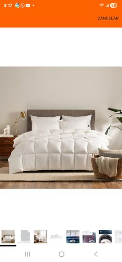 Serta  Comforter