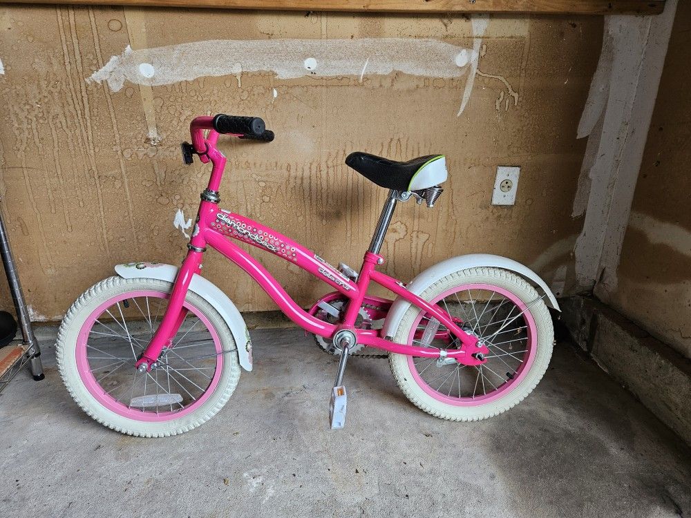 Youth Bike