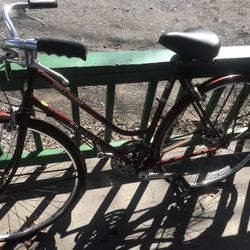 Schwinn Bike 