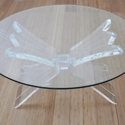 Lion in Frost Style Butterfly Wing Lucite Coffee Table 