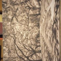 Large Oak Tree Road Portrait 