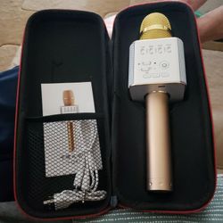 Karaoke Mic