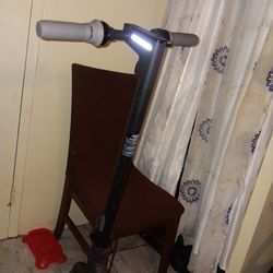 Ninebot Max