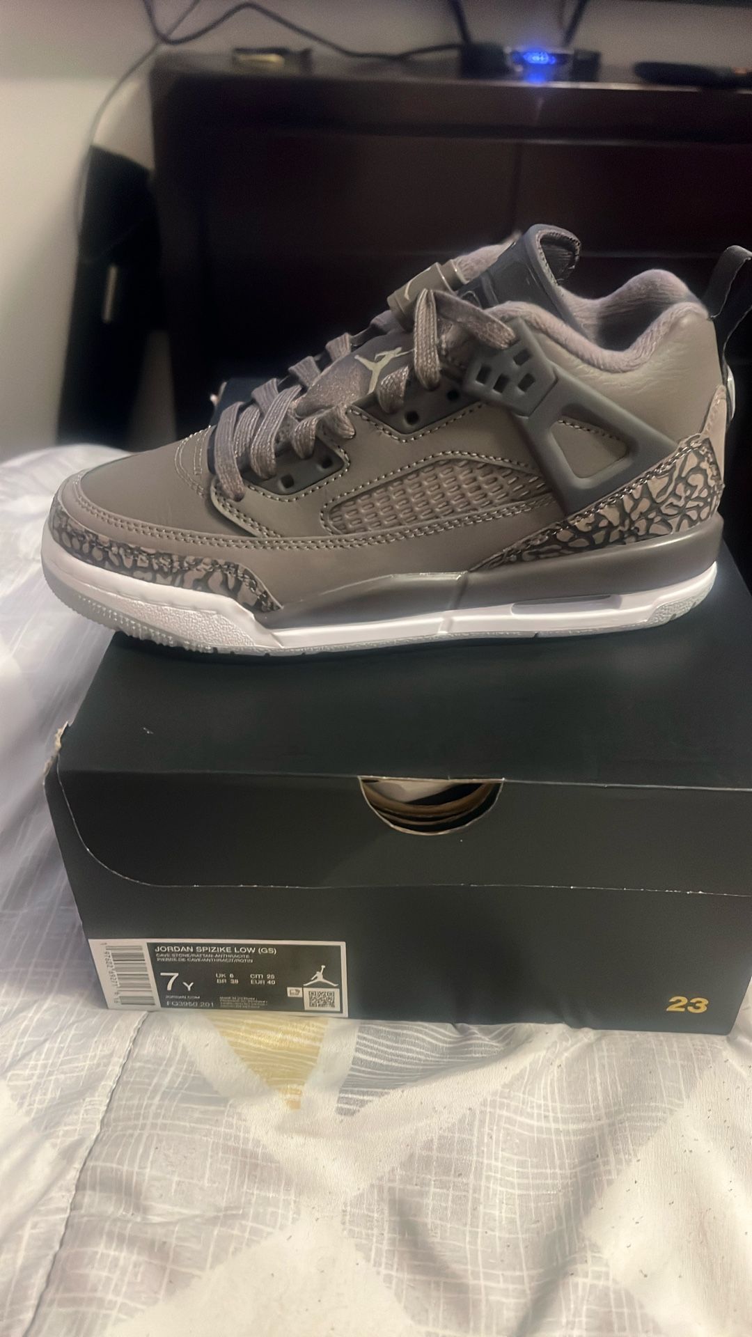 Jordan Spizike Low