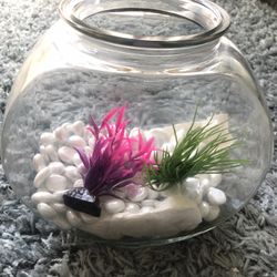 Fish Bowl (+rocks & fake plants)