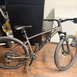 mountain bike