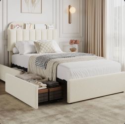 Bed and mattress twin