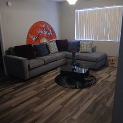Grey Sectional Couch