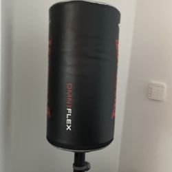 Omni Flex Boxing For Sale 