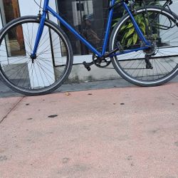 Blue Giant  Bike