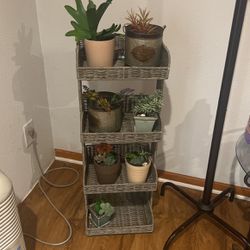 Wicker Shelf With Flower pots Included