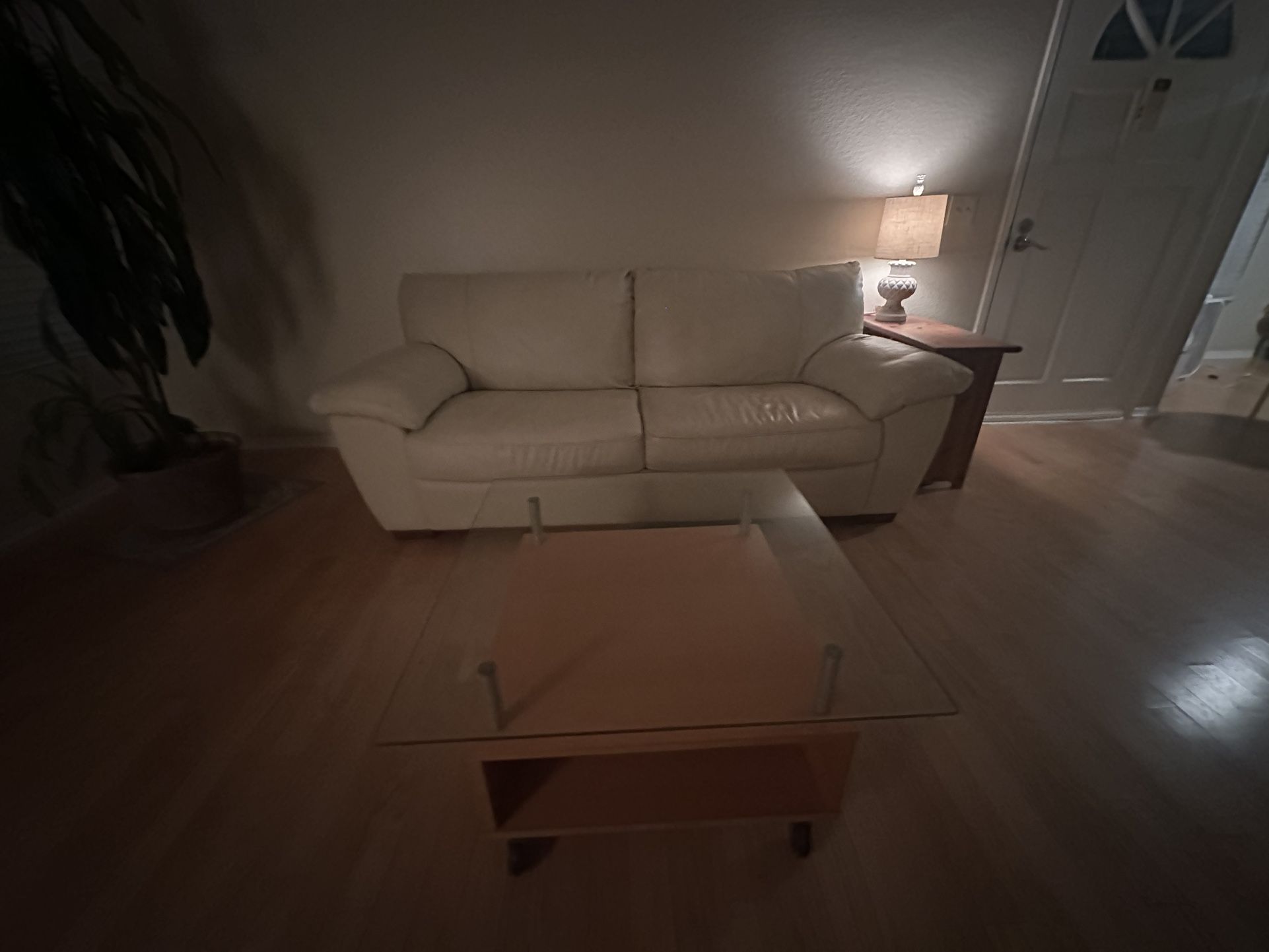 Leather Sofa and Coffee Table