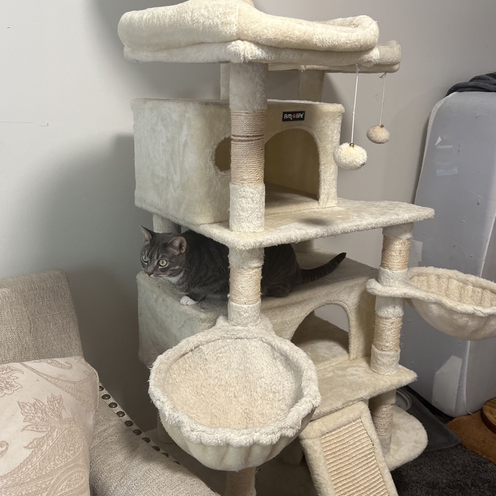 Cat Tree for Sale in Queens, NY OfferUp