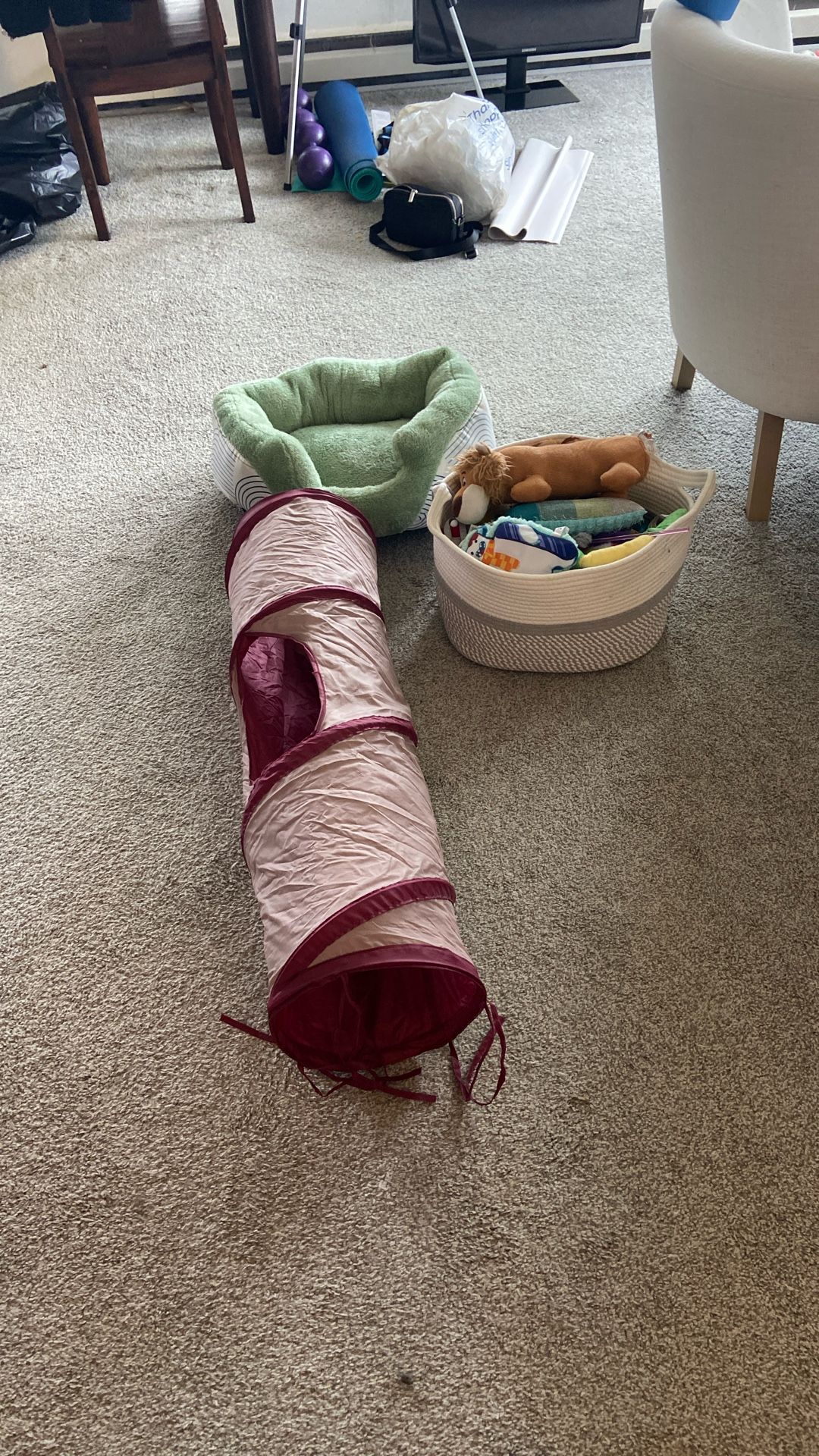Cat Bed, Tunnel, Basket And Toys