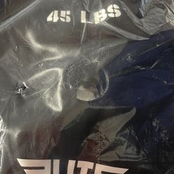 Set of Two 45 Lb Workout Sand Plates 