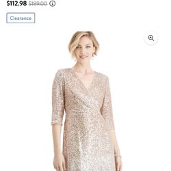 Beautiful Sequin Dress