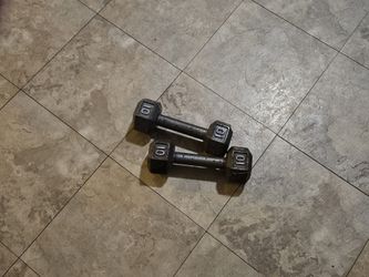 10 Lbs Dumbbells