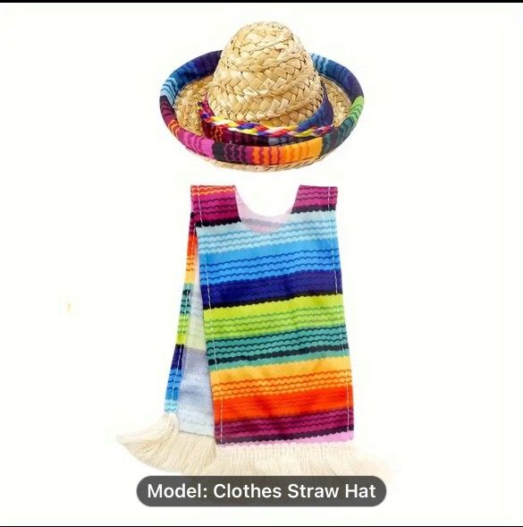 Cute Lil Poncho
