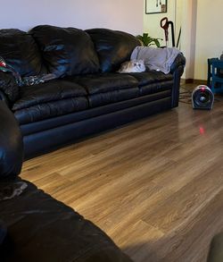 Free leather couches