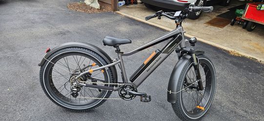 Electric Bike