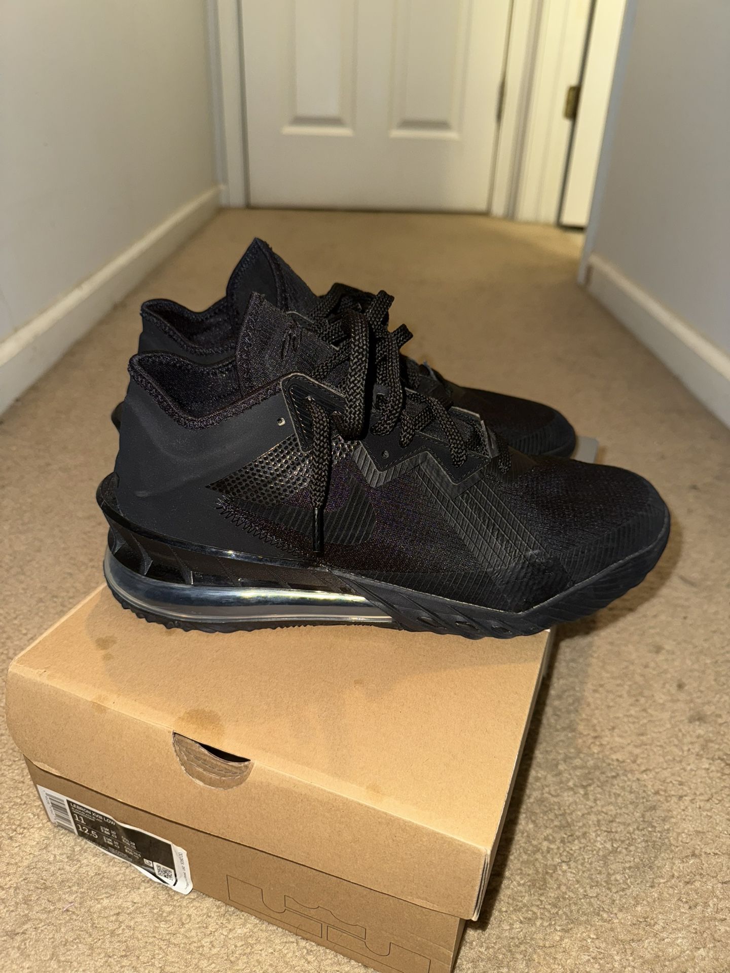 LeBron Xviii Low Size 11 
