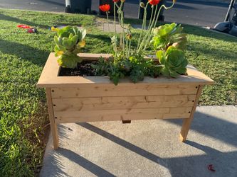 Handmade plants stand serious inquires