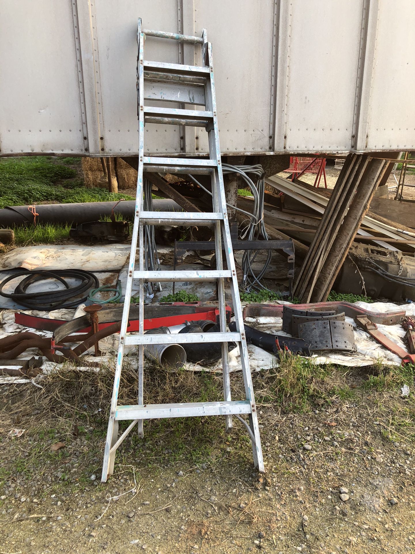 Ladder$25or best offer