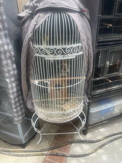 Bridge cage